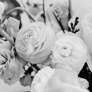 Image of a Flower Bunch